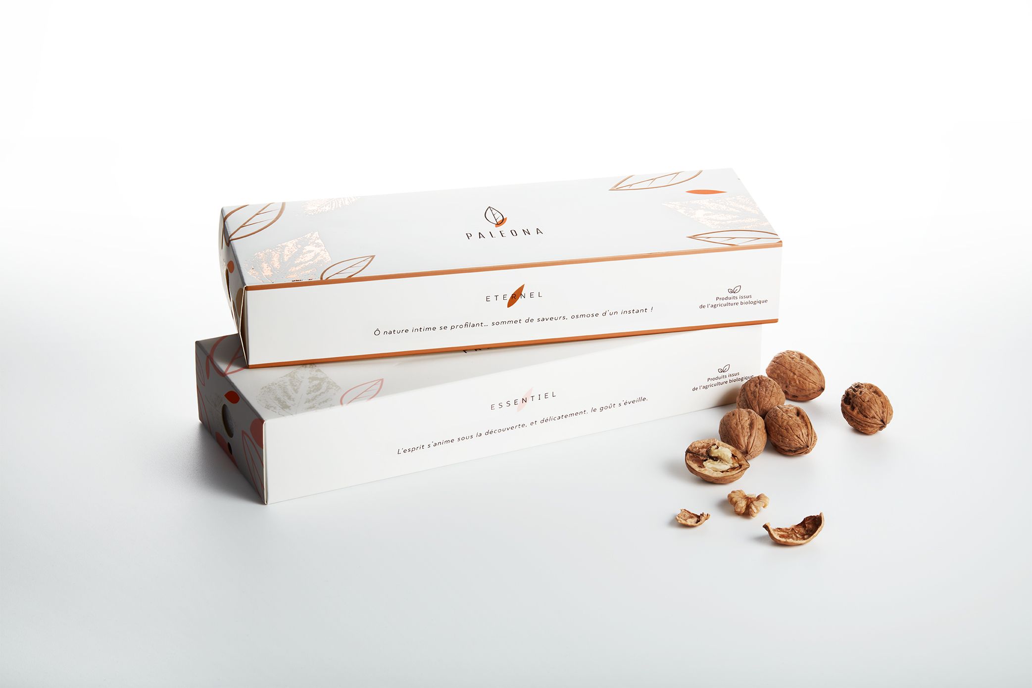 PALEONA - Brand Identity