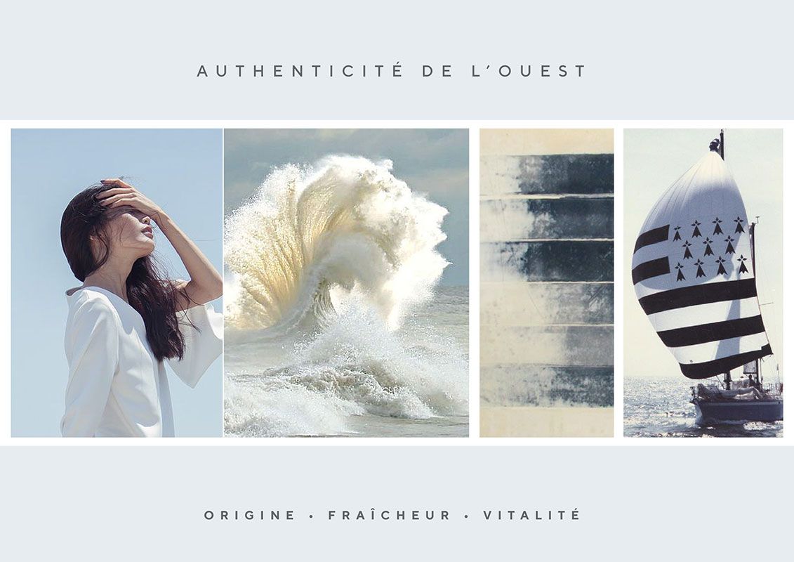 Case study Jouvance by Kimbrandesign